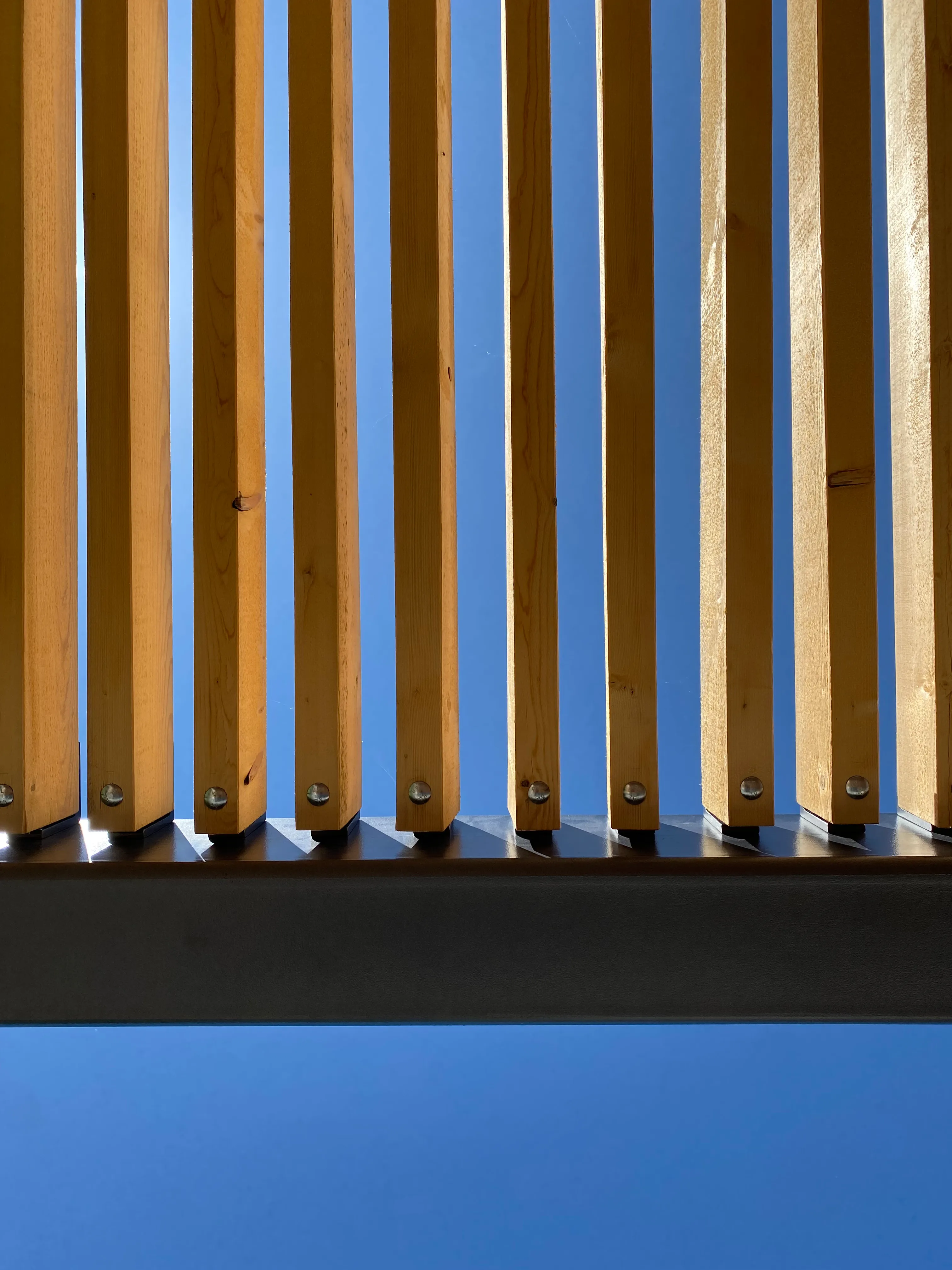 Detail of the timber slats that allow closeness yet still form an edge.